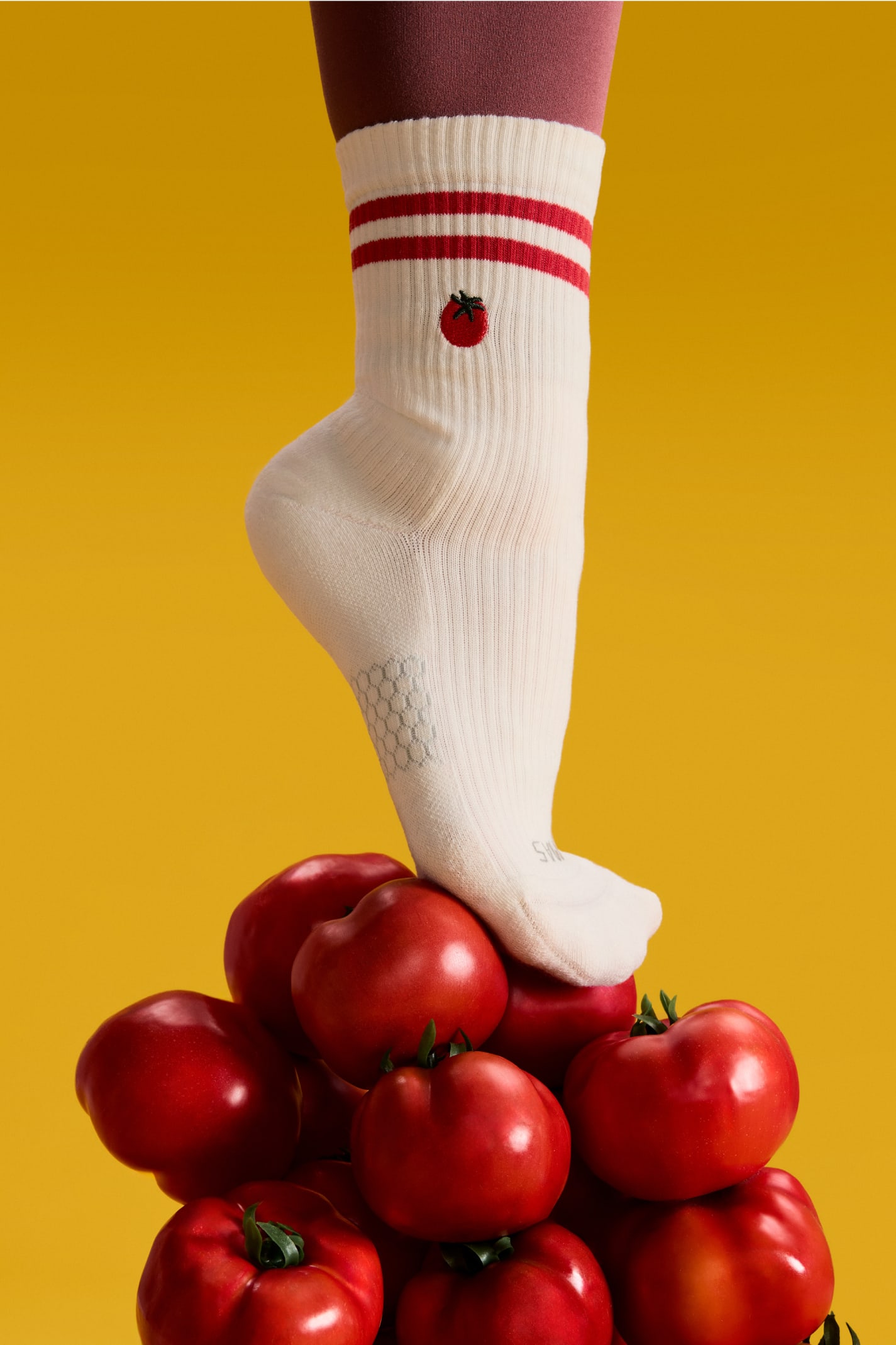Women's Farmers' Market Modern Rib Half Calf Sock 4-Pack