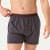 Men's Cotton Modal Blend Boxer - All Spice / Pebble Micro Stripe MO1 [8473]