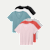 Women's Pima Cotton V-Neck T-Shirt 6-Pack - Red Fog Rose Mix L