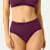 Seamless_Underwear High_Rise_Brief - Autumn_Fig WO1 [9120]