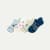 Conversationals Ankle - Dinner_Mix L [11419]