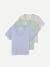 Women's Pima Cotton V-Neck T-Shirt 3-Pack - Skysail Grey Mint Mix L