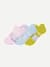 Lightweight_Performance Ankle - Rose_Blue_Mix L [11458]