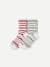 Fair Isle Half Calf Sock 2-Pack Gift Box - Sage Crimson Mix L [10227]