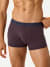 Men's Cotton Modal Blend Trunk - All Spice / Midnight Navy Waistband MO1 [8472]