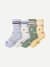 Calf Socks - Sage Stripe Mix L [10556]
