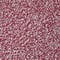 burgundy oatmeal