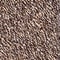 marled chocolate