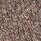 marled chocolate