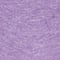 aster purple