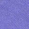 aster purple