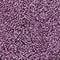 winter wine violet