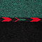 black evergreen