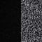 black charcoal