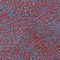 blue red multi