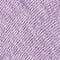 aster purple