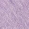 aster purple