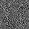 charcoal evergreen