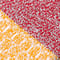 red saffron blue