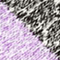 grey lavender