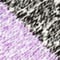 grey lavender