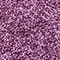 winter wine violet