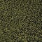olive navy