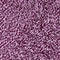 winter wine violet