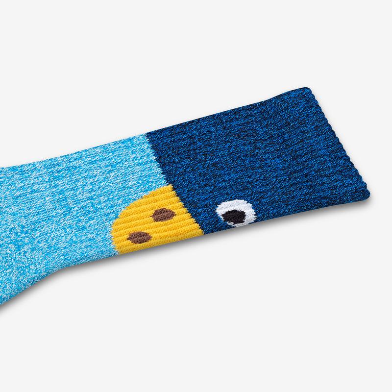 Men's Sesame Street Cookie Monster Colorblock Socks