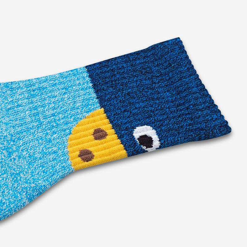 Youth Sesame Street Cookie Monster Colorblock Socks